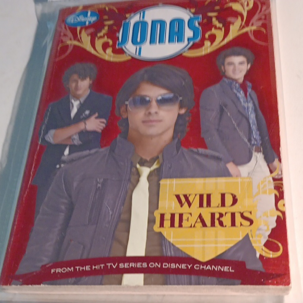 32B JONAS - WILD HEART - BASED ON DISNEY CHANNEL HIT TV SERIES